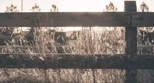 A fence on a property line