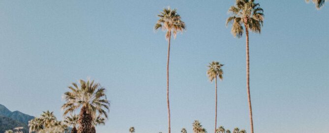 view of a neighborhood in California