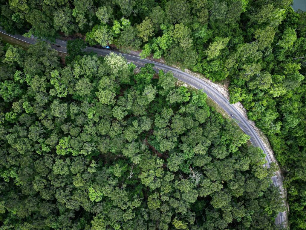 top view of a winding road in the middle of Texas forest