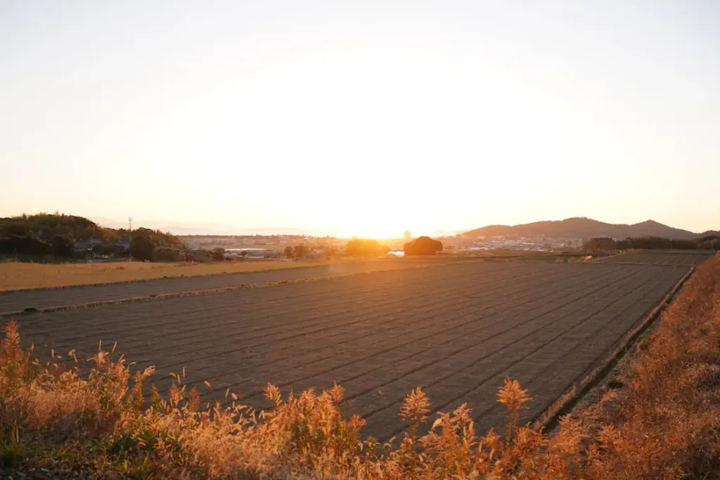 peaceful sunset over agricultural fields