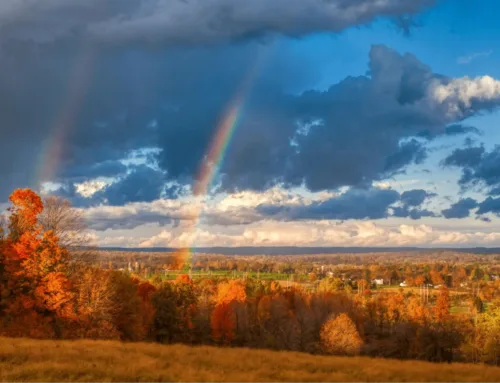 Land Surveyor In Pennsylvania