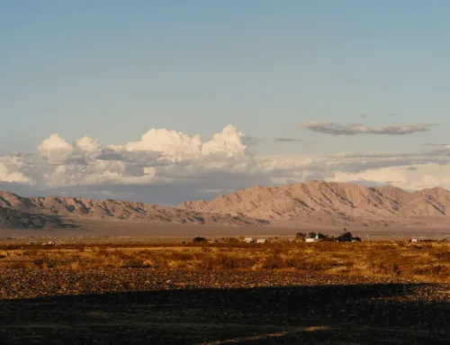 Commercial Land Surveyor in Reno, Nevada