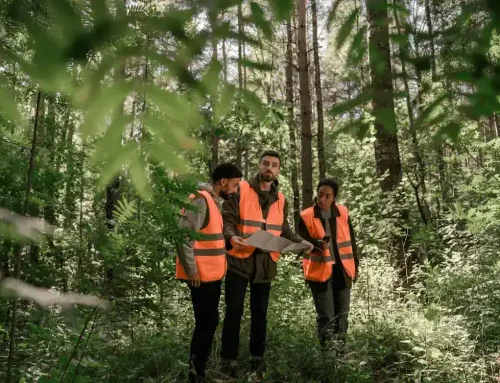 Commercial Land Surveyor in Tucson